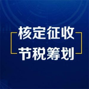 核定征收政策主要适用于哪些企业形式？插图