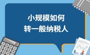 小规模纳税人如何申请为一般纳税人?插图