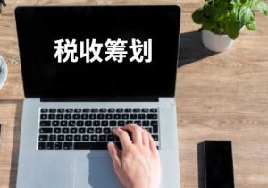 有限责任公司怎么进行税务筹划插图