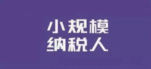 2021年小规模纳税人标准插图