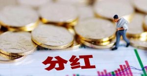 股东的利润分红如何合理节税？插图1
