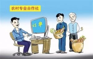 农民专业合作社能免交企业所得税吗？插图