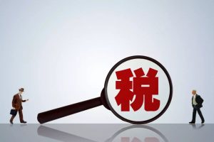 自然人代开核定政策解决高收入者的税务难题插图2