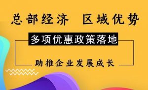 江苏税收优惠政策，企业所得税核定2%插图