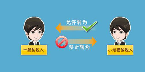 怎转换纳税人身份进行税筹筹划？效果怎么样插图